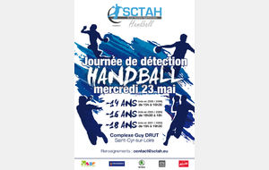 Journée de Détection