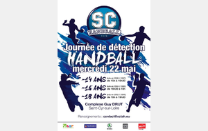 Journée de Détection